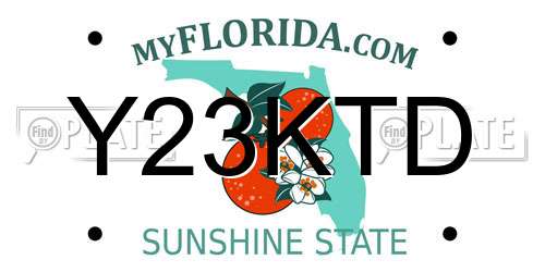 Y23KTD Florida License Plate
