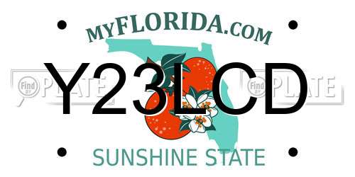 Y23LCD Florida License Plate