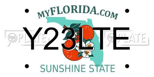 Y23LTE Florida License Plate