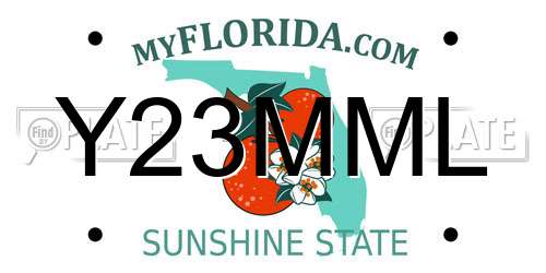 Y23MML Florida License Plate