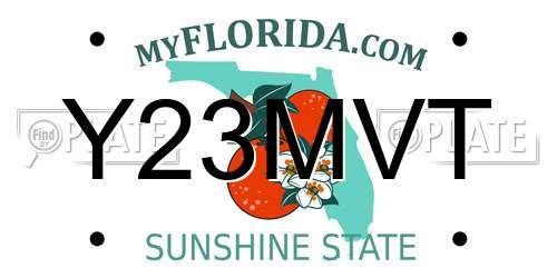 Y23MVT Florida License Plate