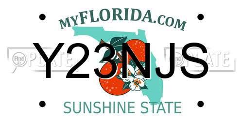 Y23NJS Florida License Plate