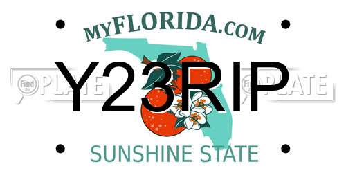 Y23RIP Florida License Plate
