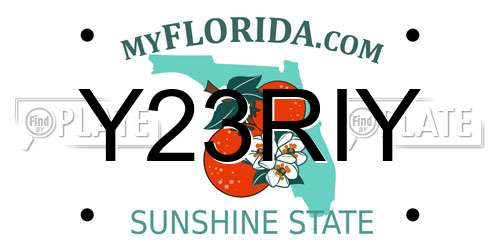 Y23RIY Florida License Plate