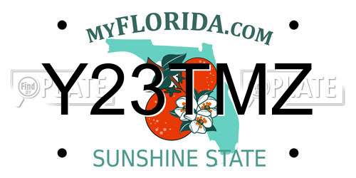 Y23TMZ Florida License Plate