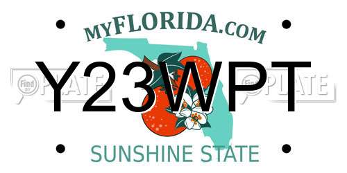 Y23WPT Florida License Plate
