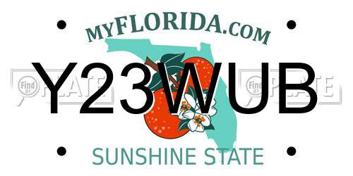Y23WUB Florida License Plate