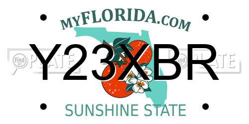 Y23XBR Florida License Plate