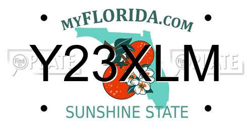 Y23XLM Florida License Plate