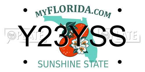 Y23YSS Florida License Plate
