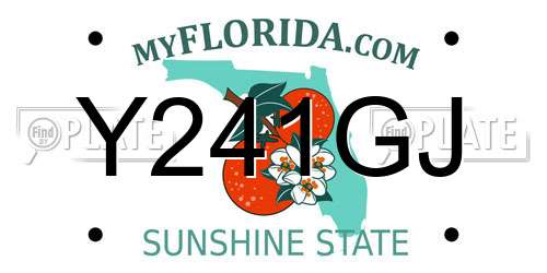 Y241GJ Florida License Plate