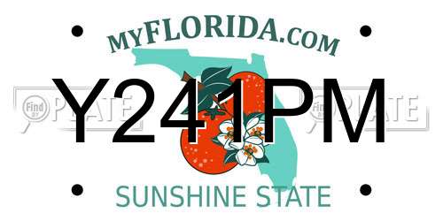 Y241PM Florida License Plate