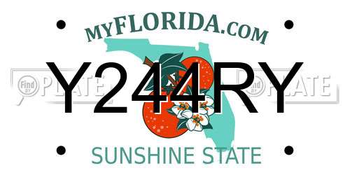 Y244RY Florida License Plate