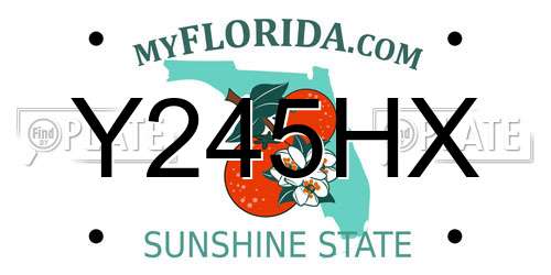 Y245HX Florida License Plate