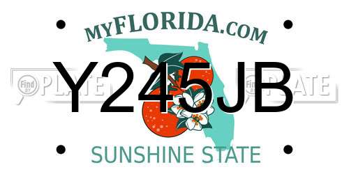 Y245JB Florida License Plate