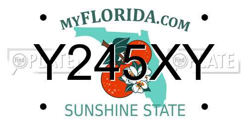 Y245XY Florida License Plate