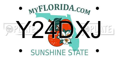 Y24DXJ Florida License Plate
