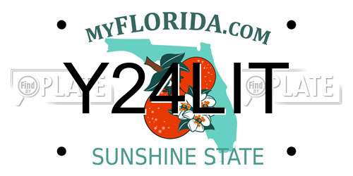 Y24LIT Florida License Plate