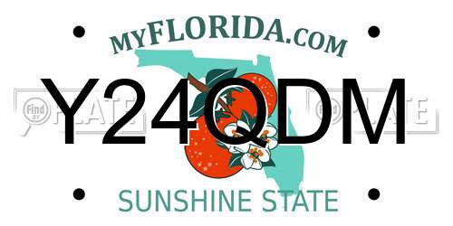 Y24QDM Florida License Plate