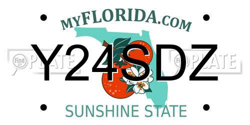 Y24SDZ Florida License Plate