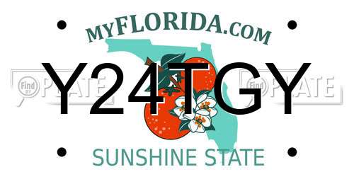 Y24TGY Florida License Plate