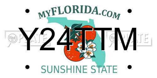 Y24TTM Florida License Plate