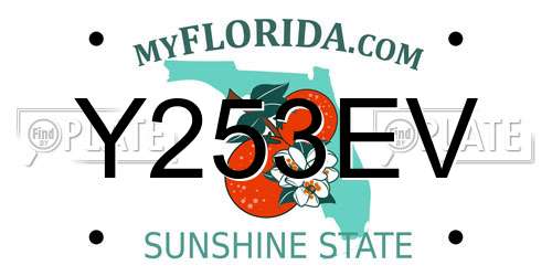 Y253EV Florida License Plate