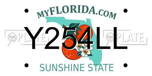 Y254LL Florida License Plate