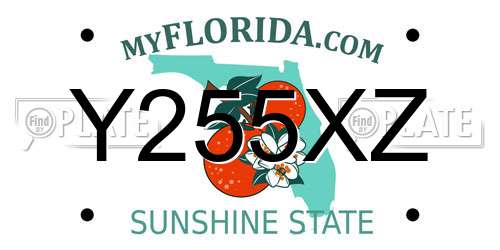 Y255XZ Florida License Plate