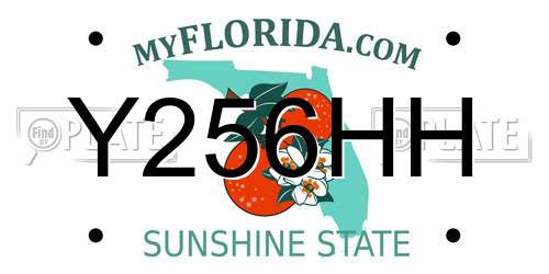 Y256HH Florida License Plate