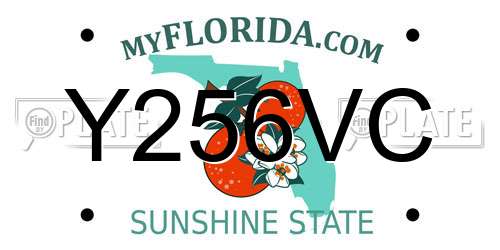 Y256VC Florida License Plate