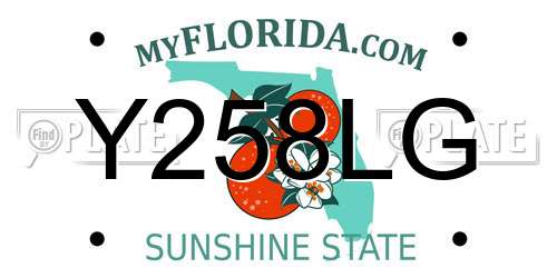 Y258LG Florida License Plate