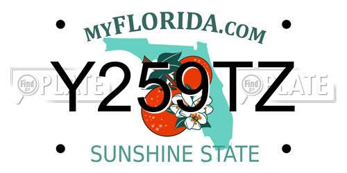 Y259TZ Florida License Plate