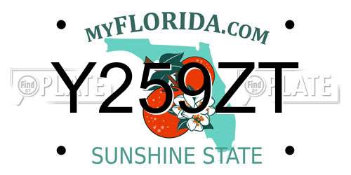 Y259ZT Florida License Plate