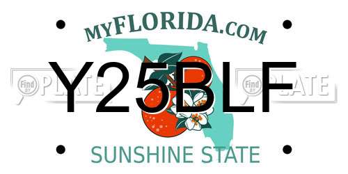 Y25BLF Florida License Plate