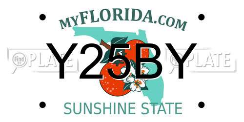 Y25BY Florida License Plate