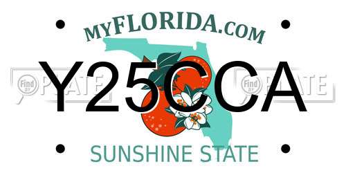 Y25CCA Florida License Plate