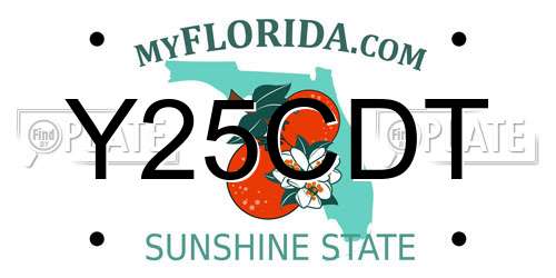 Y25CDT Florida License Plate