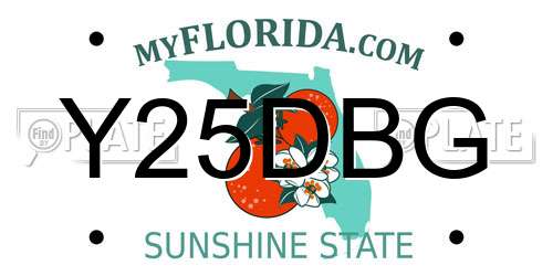 Y25DBG Florida License Plate