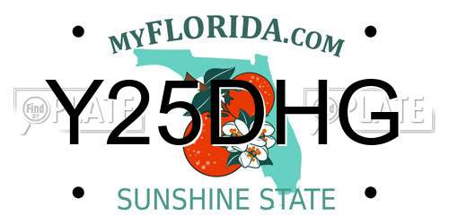 Y25DHG Florida License Plate