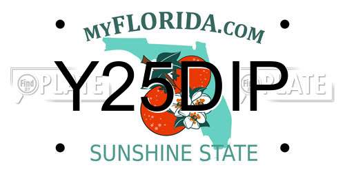 Y25DIP Florida License Plate