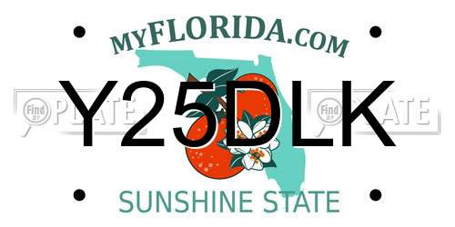 Y25DLK Florida License Plate
