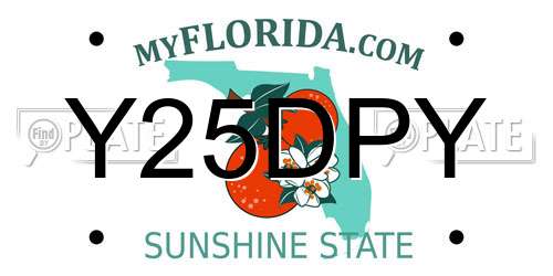 Y25DPY Florida License Plate