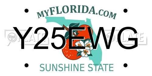 Y25EWG Florida License Plate