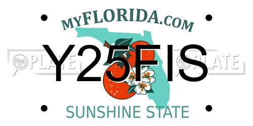Y25FIS Florida License Plate