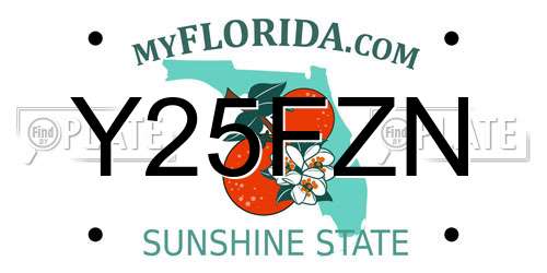 Y25FZN Florida License Plate
