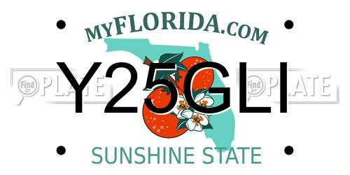 Y25GLI Florida License Plate