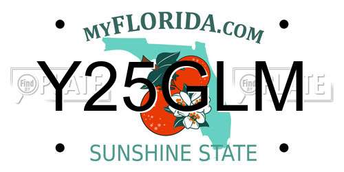 Y25GLM Florida License Plate