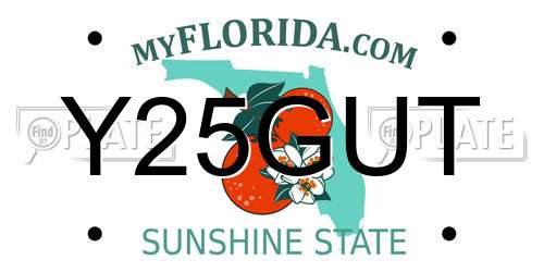 Y25GUT Florida License Plate
