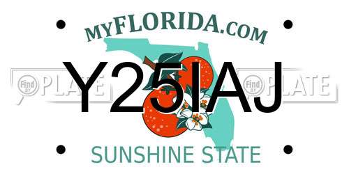 Y25IAJ Florida License Plate